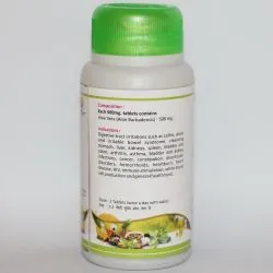 Алоэ вера Шри Ганга (Aloe vera Tab Shri Ganga) 60 табл. / 500 мг могут быть разломаны 2