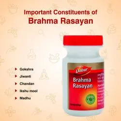 Брахма Расаян Дабур (Brahma Rasayan Dabur) 250 г 4