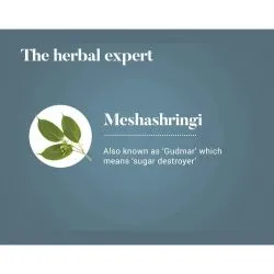 Мешашринги Хималая (Meshashringi Himalaya) 60 табл. / 250 мг (экстракт) 6
