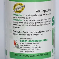 Садабахар Кудос (Sadabahar Kudos) 60 капс. / 500 мг 5