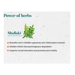 Шалаки Хималая (Shallaki Himalaya) 60 табл. / 125 мг (экстракт) 6