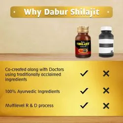 Мумие Дабур (Shilajeet Dabur) 100 капс. / 500 мг (экстракт) 7