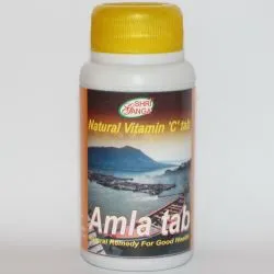 Амла Шри Ганга (Amla Tab Shri Ganga) 200 табл. / 400 мг могут быть разломаны 0