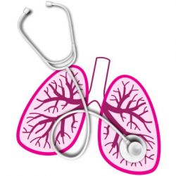 Препараты для дыхательной системы