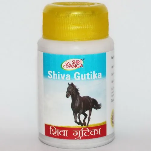 Шива Гутика Шри Ганга (Shiva Gutika Shri Ganga) 50 г (примерно 120 табл. / 415 мг)