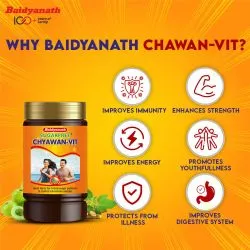Чаванпраш без сахара Байдьянатх (Chyawan-Vit Baidyanath) 500 г 7