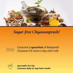 Чаванпраш без сахара Байдьянатх (Chyawan-Vit Baidyanath) 500 г 5