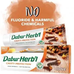 Зубная паста для защиты полости рта Гвоздика Дабур (Dabur Herbal Clove Toothpaste) 100 г 1