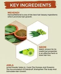 Хна с лечебными травами Оши Хербалс (Ayurvedic Henna Hair Pack Oshea Herbals) 100 г 4