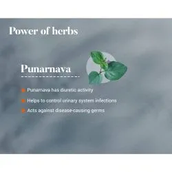 Пунарнава Хималая (Punarnava Himalaya) 60 табл. / 250 мг (экстракт) 6