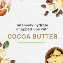 Бальзам для губ увлажняющий Масло какао Хималая (Rich Cocoa Butter Lip Care Himalaya) 10 г 4