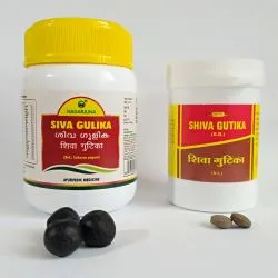 Шива Гутика Вьяс (Shiva Gutika Vyas) 100 табл. / 104 мг 3