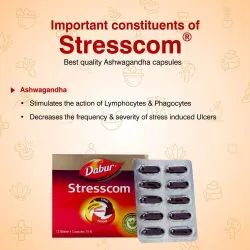 Стресском (Ашваганда) Дабур (Stresscom Ashvagandha Dabur) 120 капс. / 300 мг 6