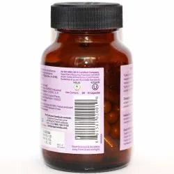 Тулси Органик Индия (Tulsi Organic India) 60 капс. / 300 мг 2