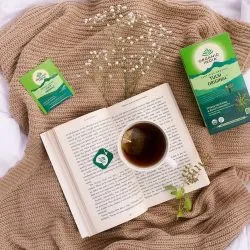 Чай Тулси Ориджинал Органик Индия (Tulsi Original Tea Organic India) 25 пакетиков по 1.74 г 4