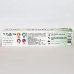 Зубная паста Суданта Шри Шри Татва (Sudanta Toothpaste Sri Sri Tattva) 100 г 1