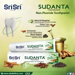 Зубная паста Суданта Шри Шри Татва (Sudanta Toothpaste Sri Sri Tattva) 100 г 5